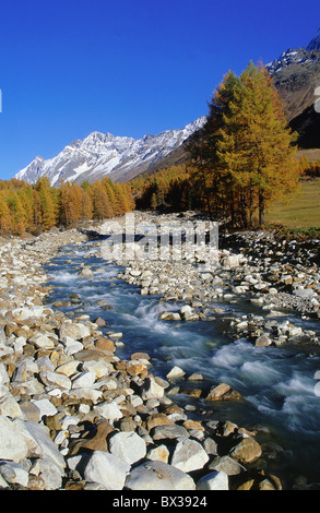 Alpi Valaises montagna alpina montagne cliff panorama panorama di montagna autunno autunno colori larice Larix Foto Stock