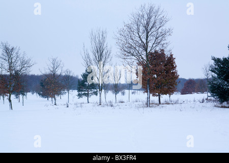 Un snowy Horton Country Park. Foto Stock