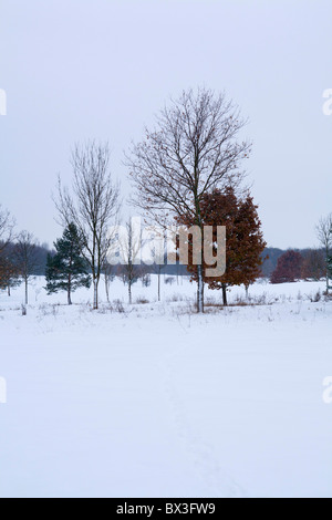 Un snowy Horton Country Park. Foto Stock