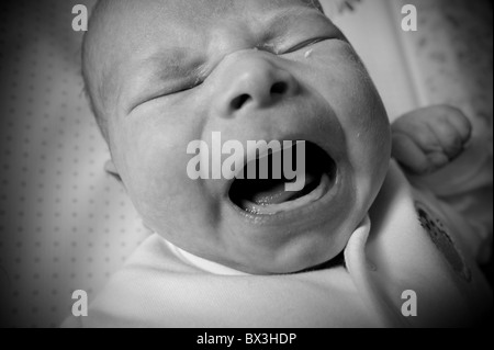 New Born Baby che grida nel cesto di Mosè solo tre giorni Foto Stock