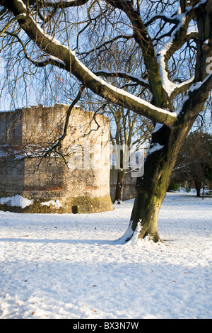 Torre Multangular nel Museo Giardini York Yorkshire Inghilterra Foto Stock