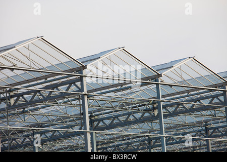 Struttura di serra in costruzione; St. Albert, Alberta, Canada Foto Stock