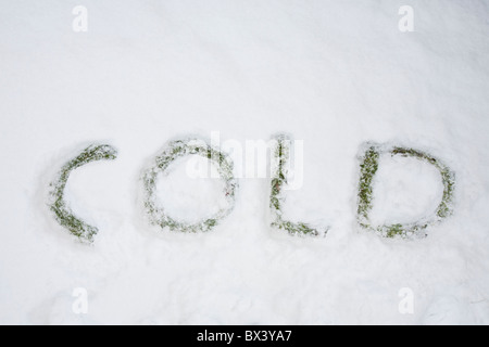 La parola freddo enunciato nella neve. Foto Stock