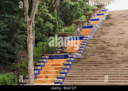 Mosaico di fasi con fontane; Barcelona, Spagna Foto Stock