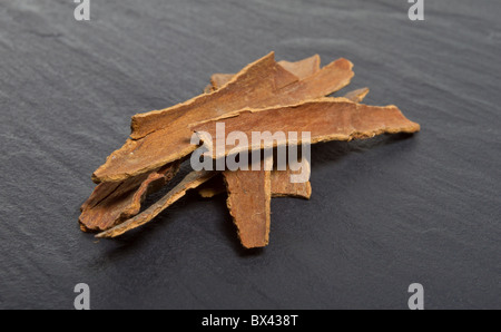 Pila di corteccia di cannella da basso prospettica isolata sul grigio scuro ardesia. Foto Stock