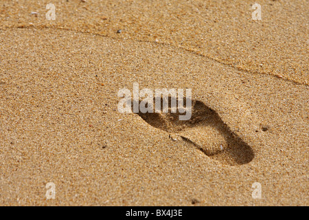 Una impronta nella sabbia Foto Stock