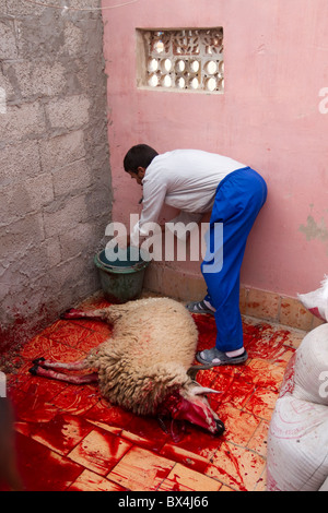 Un marocchino uomo macellai un agnello durante il festival annuale di Fete du Mouton in Marocco o altrimenti noti come Eid al-Adha Foto Stock