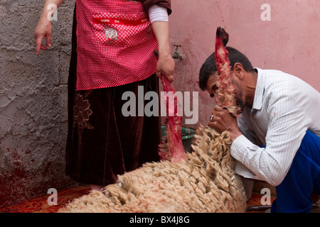 Un marocchino uomo macellai un agnello durante il festival annuale di Fete du Mouton in Marocco o altrimenti noti come Eid al-Adha Foto Stock