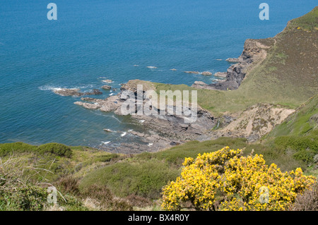 Guardando a Nord dal punto Pencannow verso Castello punto sulla North Cornwall coast path Foto Stock