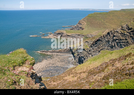 Guardando a Nord dal punto Pencannow verso Castello punto sulla North Cornwall coast path Foto Stock