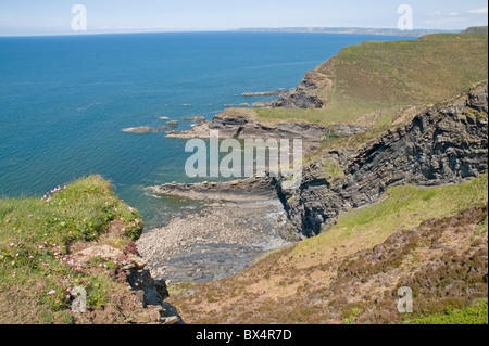 Guardando a Nord dal punto Pencannow verso Castello punto sulla North Cornwall coast path Foto Stock