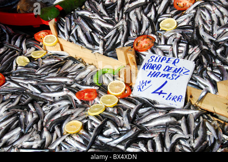 ISTANBUL, Turchia. Casse di acciughe fresche (hamsi) al mercato del pesce dal Corno Dorato in Karakoy. 2010. Foto Stock