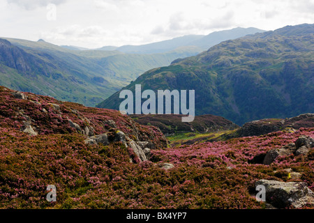 Heather e rock sul vertice dei grandi balze Watendlath vicino al Parco Nazionale del Distretto dei Laghi, Cumbria. Foto Stock