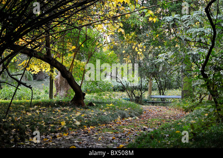 Un incantevole veduta autunnale del Giardino Botanico di Lisbona, Portogallo. Foto Stock