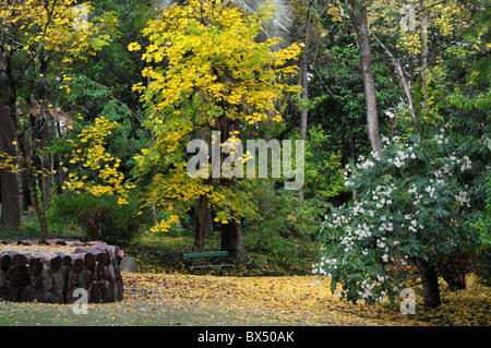 Un incantevole veduta autunnale del Giardino Botanico di Lisbona, Portogallo. Foto Stock