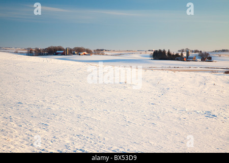 Coperte di neve campo lungo il fiume Bluffs Scenic Byway, Clayton County, Iowa Foto Stock