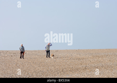 La ricreazione, esercizio, cane a camminare sulla spiaggia. Cley, Costa North Norfolk. Foto Stock