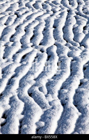 Neve e ghiaccio sull oceano pavimento, in inverno il mare di Wadden, velme, nel mare del Nord tedesco costa frisone. Foto Stock