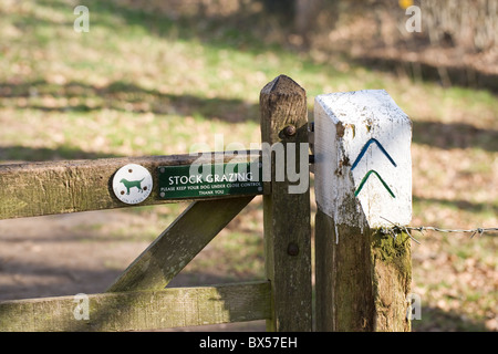 Segno sul campo spia di gate che il bestiame al pascolo, tenere cani sotto controllo pur camminando lungo il sentiero. Foto Stock