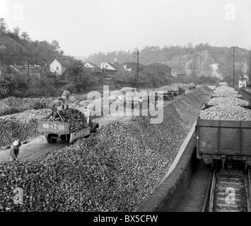 Raffineria di zucchero, barbabietole, Regno Cooperativa Agricola Foto Stock