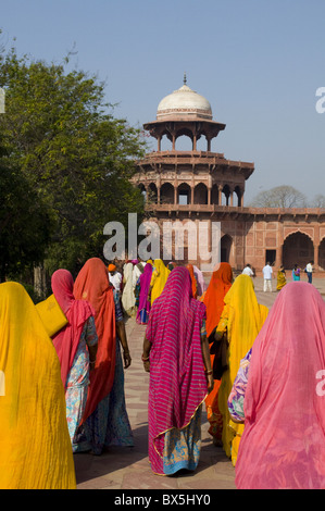 Le donne indiane in Colorati luminosamente sari al Taj Mahal, Agra, Uttar Pradesh, India, Asia Foto Stock