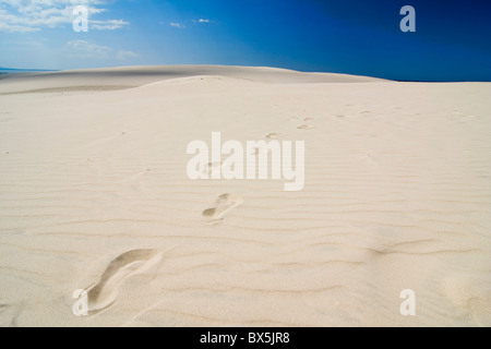 L'ingombro nel deserto - Leba - Polonia Foto Stock