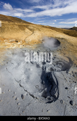 Mudpools bollente in area geotermale sulla penisola di Reykjanes, vicino a Keflavik, Islanda, regioni polari Foto Stock