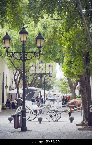 Carrozza per turisti, Zona Colonial (quartiere coloniale), il Sito Patrimonio Mondiale dell'UNESCO, Santo Domingo, Repubblica Dominicana Foto Stock