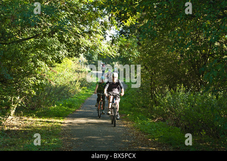 dh UK piste ciclabili estate BAMBINI CICLISMO YORKSHIRE INGHILTERRA Bambini bicicletta bambini ragazzi giovani pista attraverso il bosco percorso in bicicletta Foto Stock