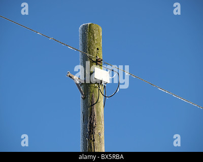 Un palo del telegrafo con filo telefonico in inverno Foto Stock