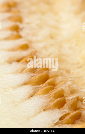 Close up di semi di un melone giallo tagliato a metà Foto Stock