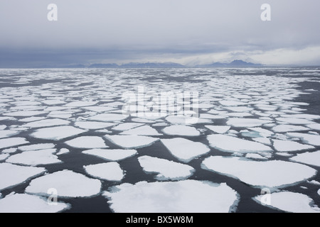 Glaçon, drift ice, Groenlandia, artiche, regioni polari Foto Stock