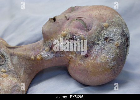 Alien autopsia ricreazione dal film Roswell all'interno dell'International UFO Museum di Roswell, New Mexico. Foto Stock