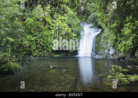 Bridal Veil Falls, Te Urewera National Park, Baia di Planty, Isola del nord, Nuova Zelanda, Pacific Foto Stock