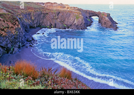 Mendocino promontori e arco di mare all'alba, Mendocino Headlands State Park, Mendocino, in California Foto Stock