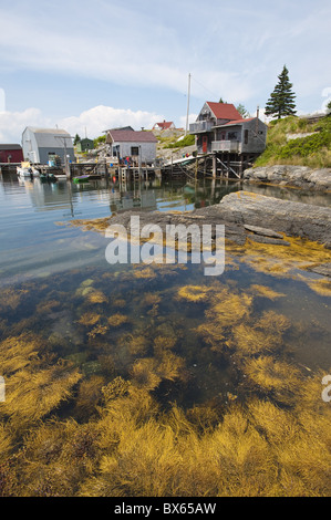 Scena intorno a rocce di colore blu in Lunenburg Harbour, Nova Scotia, Canada, America del Nord Foto Stock