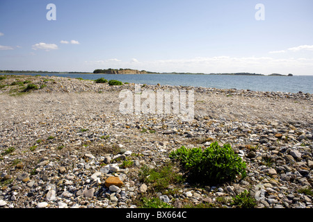 Fyns Hoved (Funen la testa), Funen, Danimarca, Europa, Danese, europeo, all'aperto, fuori, paesaggio, seescape, Scenic, visualizzazione Foto Stock