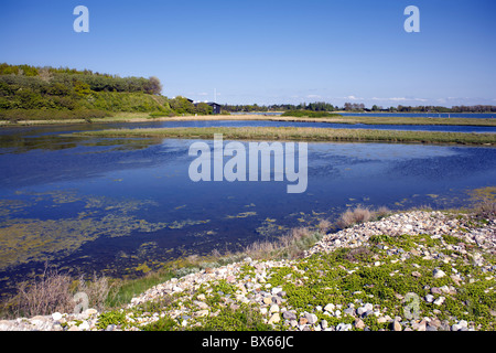 Fyns Hoved (Funen la testa), Funen, Danimarca, Foto Stock