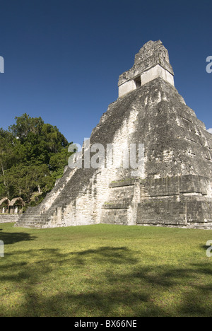 Tempio n. 1 (Jaguar Tempio), Tikal, Sito Patrimonio Mondiale dell'UNESCO, il Parco Nazionale di Tikal, Peten, Guatemala, America Centrale Foto Stock