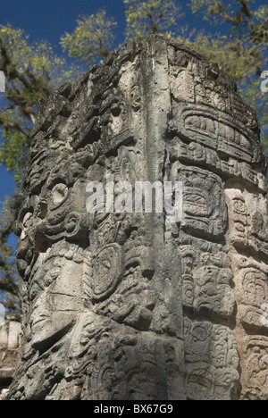 I glifi maya sul lato di Stela P, West corte, Copan parco archeologico, Sito Patrimonio Mondiale dell'UNESCO, Copan, Honduras Foto Stock
