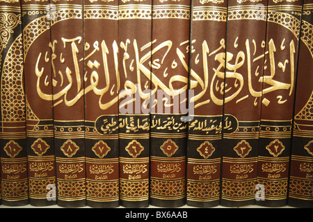 Corano, Le Bourget, Seine-Saint-Denis, Francia, Europa Foto Stock