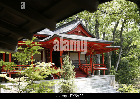 Tempio Daikakuji, Kyoto, Giappone, Asia Foto Stock