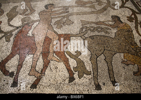 Mosaico di piloti sul pavimento della navata centrale, Otranto Duomo, Otranto e Lecce, Puglia, Italia, Europa Foto Stock