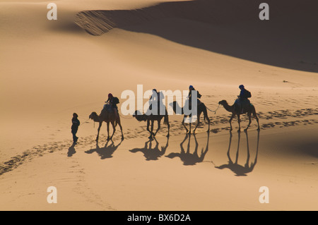 Cammelli in dune di Merzouga, Marocco, Africa Settentrionale, Africa Foto Stock