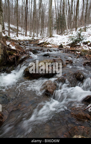 Un flusso di ghiaccio precipita attraverso il bosco d'inverno Foto Stock