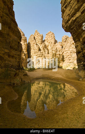 Piccola piscina nel Essendilene Gorge, vicino Djanet, Sud dell'Algeria, del Nord Africa e Africa Foto Stock