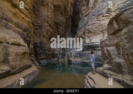 Donna che guarda la piccola piscina nel Essendilene Gorge, vicino Djanet, Sud dell'Algeria, del Nord Africa e Africa Foto Stock