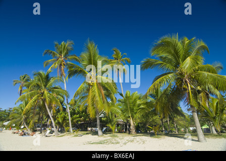 La bellissima spiaggia di Andilana, Nosy Be, Madagascar, Oceano indiano, Africa Foto Stock