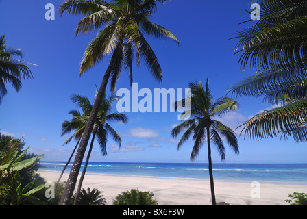 Una bellissima spiaggia di sabbia e palme a Ngazidja, Grand Comore, Comore, Oceano indiano, Africa Foto Stock