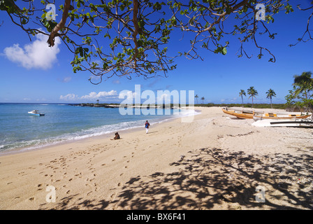 Una bellissima spiaggia di sabbia e palme a Ngazidja, Grand Comore, Comore, Oceano indiano, Africa Foto Stock